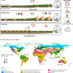 Assessing changes in global fire regimes