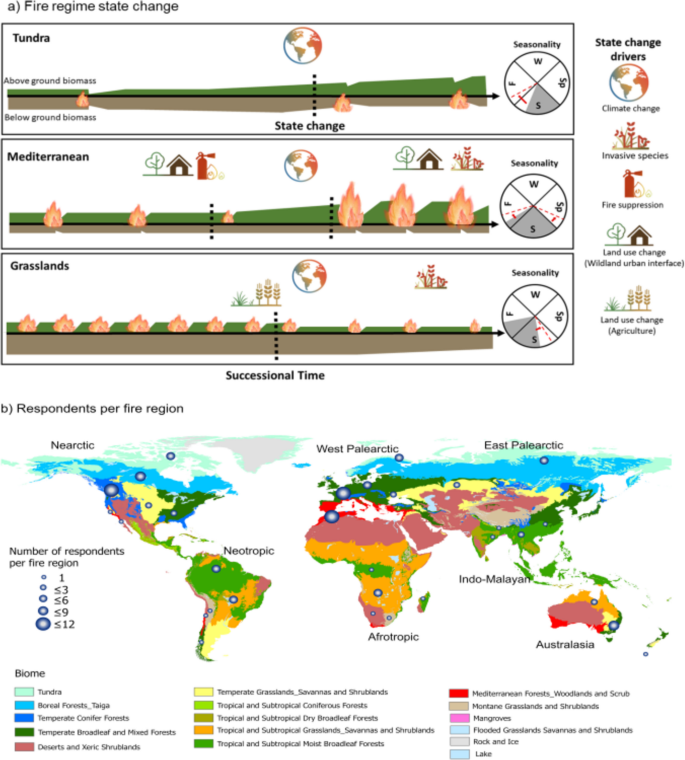 Assessing changes in global fire regimes